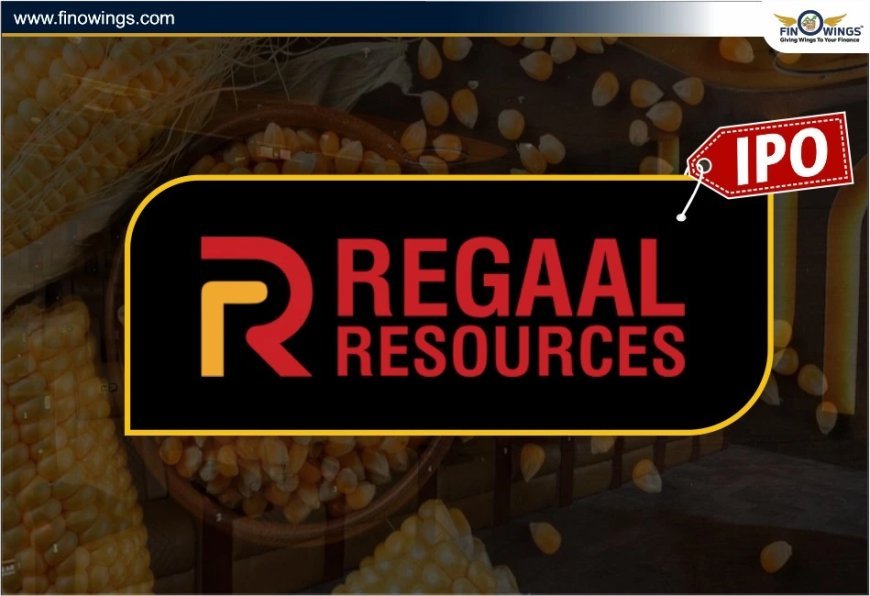 Regaal Resources IPO: Price, Analysis, And GMP