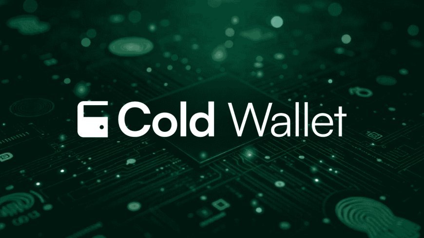 Why Is a Cold Wallet the Most Secure Way to Store Your Bitcoin in 2025?