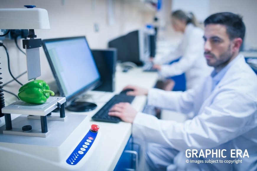 Understanding the Scope of Food Science and Technology Courses in India