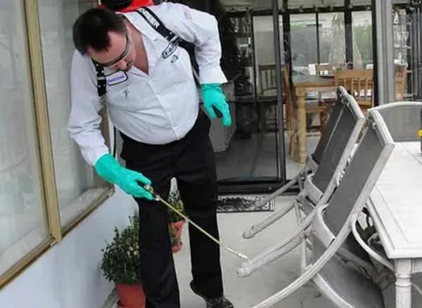 Pest Control Rawalpindi - Protecting Homes and Businesses
