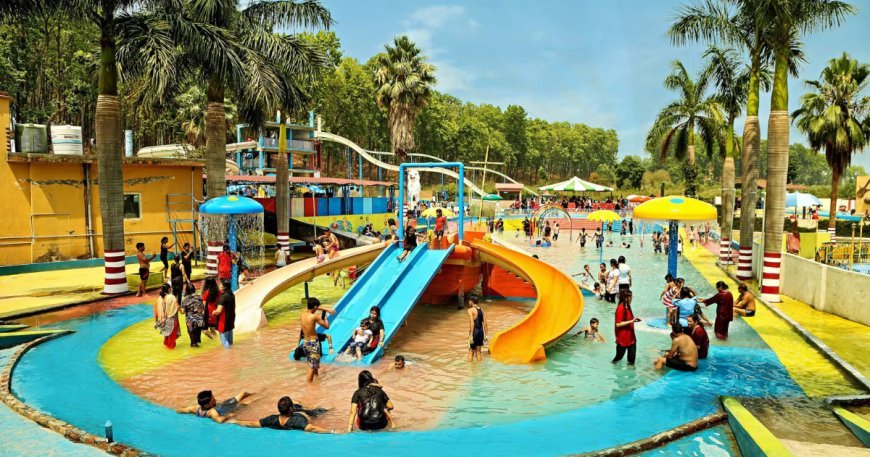 Why Water Parks Are the Perfect Birthday Party Destination