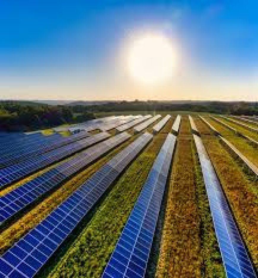 Everything You Need to Know About Solar Companies in Pakistan