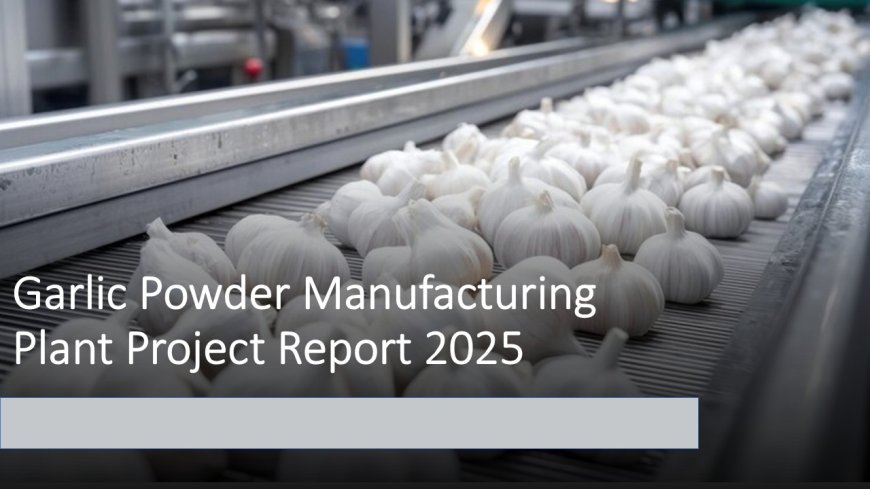 Cost Analysis for Setting up a Garlic Powder Manufacturing Plant | Report by IMARC Group