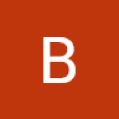 Bullsandbrains